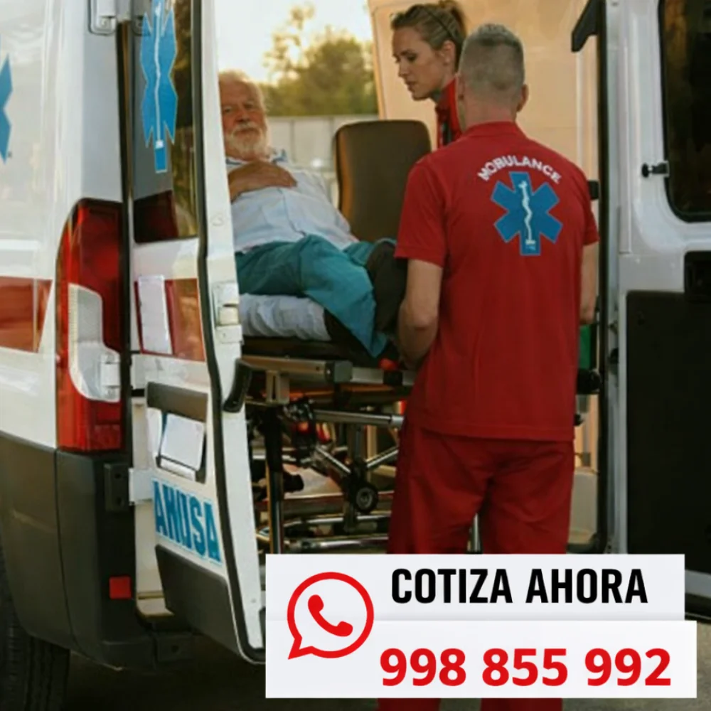 varias seo 2 - 2026-01-14T112425.136